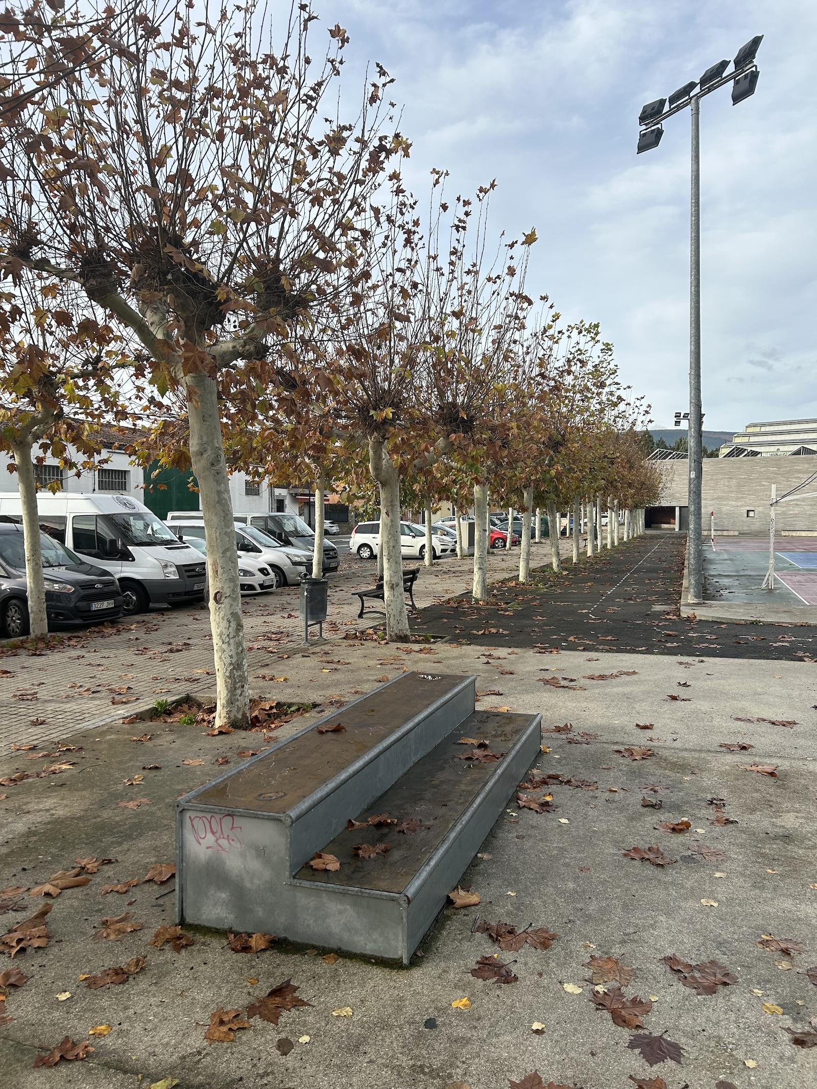 Ororbia skatepark